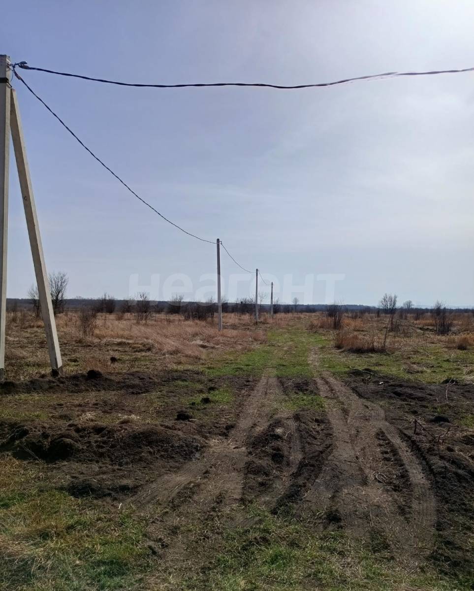 Фотография №2