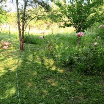 Продается Участок, 600 м²