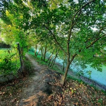 Продается Участок, 2100 м²