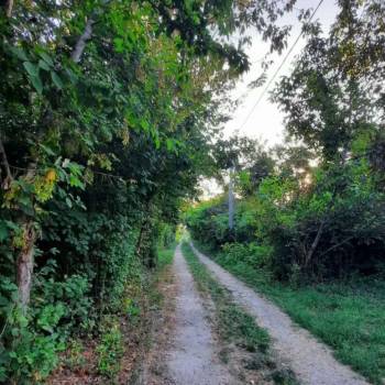 Продается Участок, 2100 м²