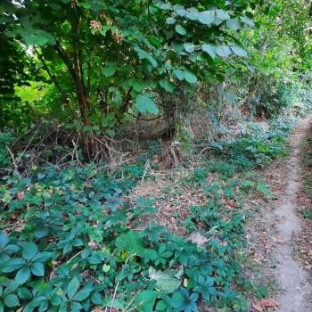 Продается Участок, 2100 м²