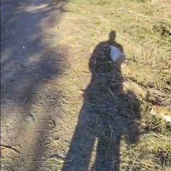 Продается Участок, 800 м²