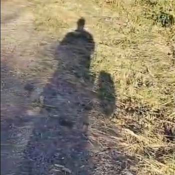 Продается Участок, 800 м²