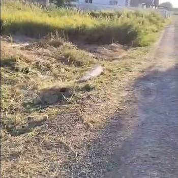 Продается Участок, 800 м²