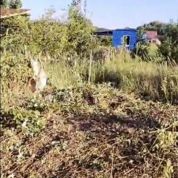 Продается Участок, 800 м²