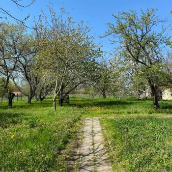 Продается Участок, 3780 м²