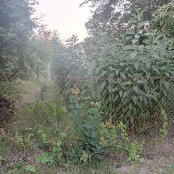 Продается Дом, 84 м²