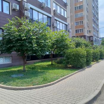 Сдается 1-комнатная квартира, 41 м²