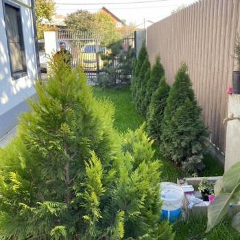 Сдается Комната, 15 м²