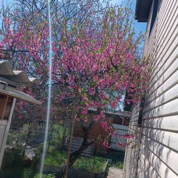 Продается Дом, 160 м²