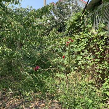 Продается Дом, 35 м²