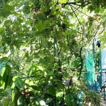 Продается Дом, 120 м²