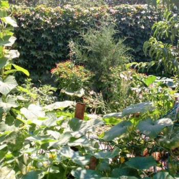 Продается Дом, 120 м²