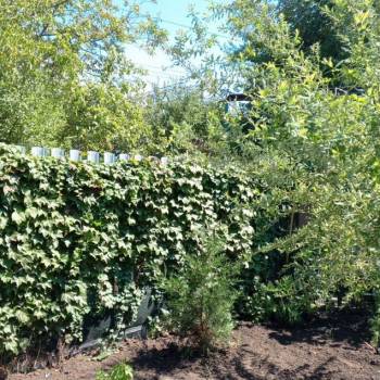 Продается Дом, 120 м²