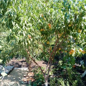 Продается Дом, 120 м²