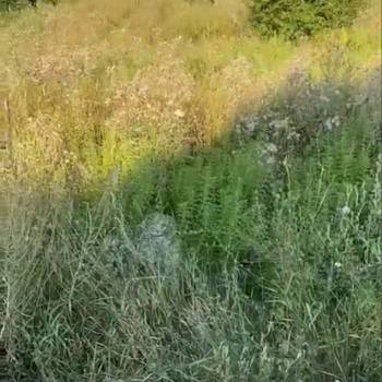 Продается Участок, 1000 м²