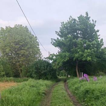 Продается Участок, 780 м²