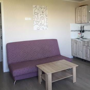 Продается 1-комнатная квартира, 30,5 м²