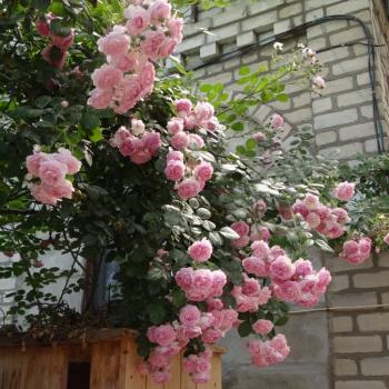 Продается Участок, 417 м²