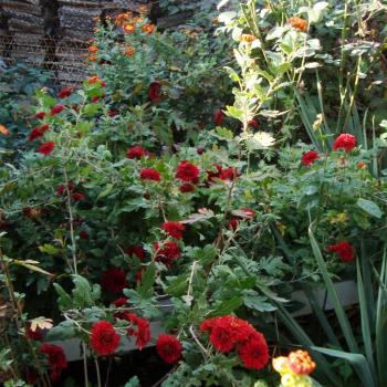 Продается Участок, 417 м²