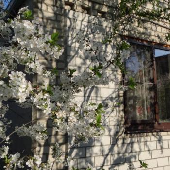 Продается Участок, 417 м²