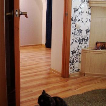 Продается Участок, 417 м²