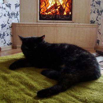 Продается Участок, 417 м²