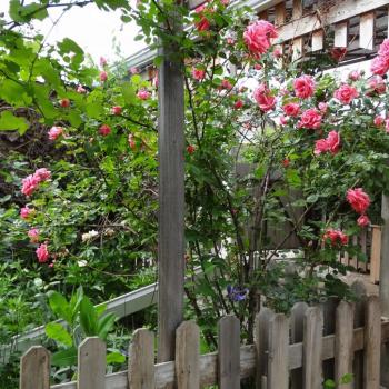 Продается Участок, 417 м²