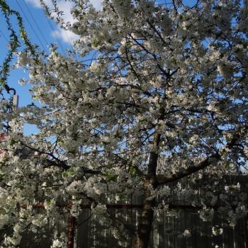 Продается Участок, 417 м²