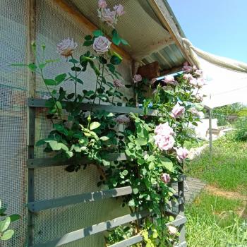 Продается Участок, 1500 м²