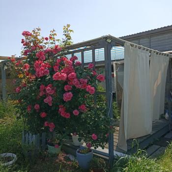 Продается Участок, 1500 м²