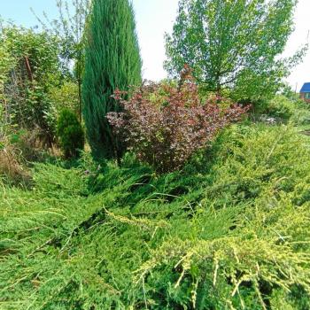 Продается Участок, 1500 м²