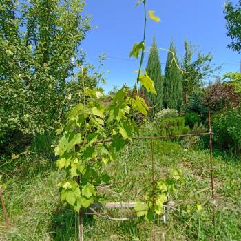 Продается Участок, 1500 м²