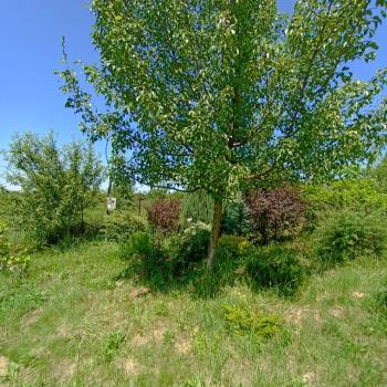 Продается Участок, 1500 м²