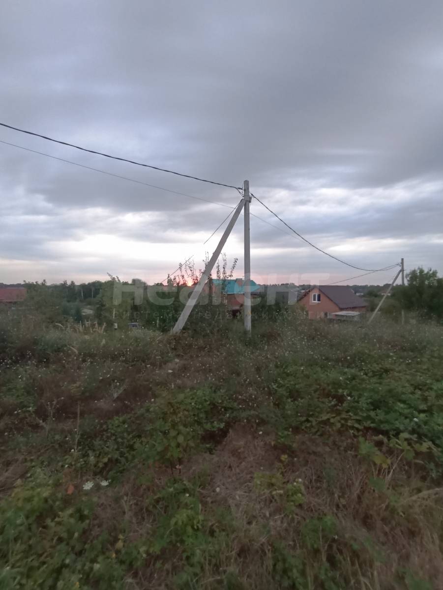 Фотография №3