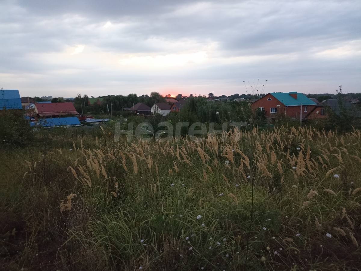 Фотография №5