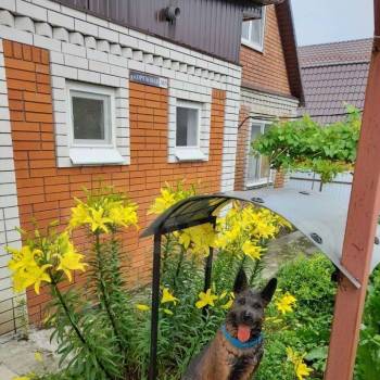 Продается Дом, 80 м²