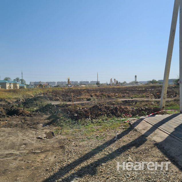 Фотография №2