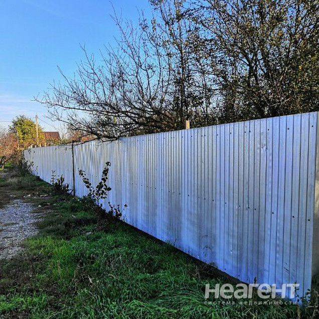 Фотография №2