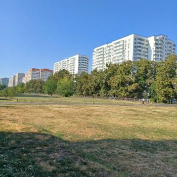 Сдается 2-х комнатная квартира, 64 м²