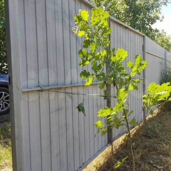 Продается Участок, 600 м²