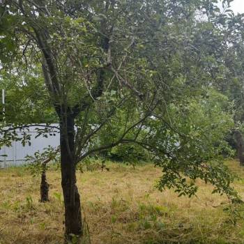 Продается Участок, 600 м²