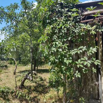 Продается Участок, 600 м²