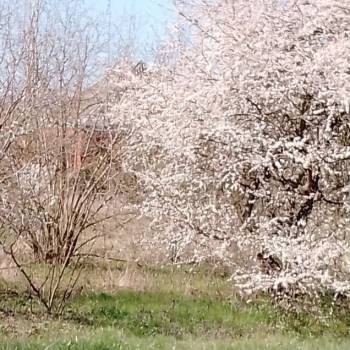 Продается Участок, 600 м²