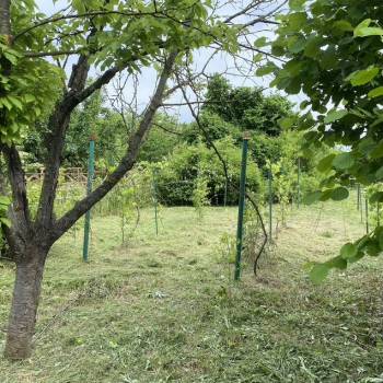 Продается Дом, 42 м²