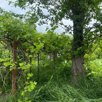 Продается Участок, 460 м²