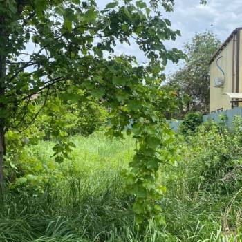 Продается Участок, 460 м²