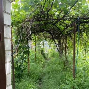 Продается Участок, 460 м²