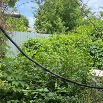 Продается Участок, 460 м²