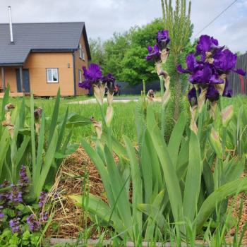 Продается Дом, 126 м²